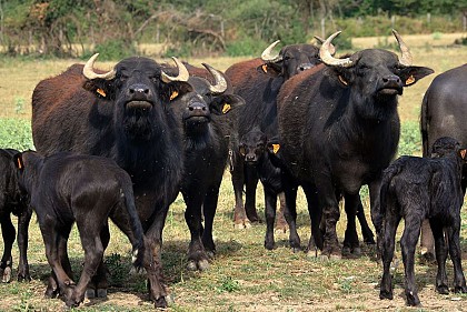 AIRE DE STATIONNEMENT DU RANCH DE BEAUSÉJOUR