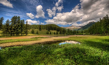 Pôle Ville-Vieille, Circuit permanent 4