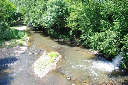 Rivière "La Chalaronne"