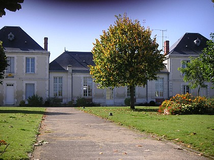 Le Bois des Laves - La Taillée