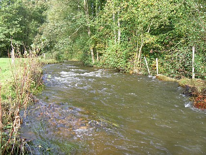 Parcours pêche no kill truite du Teilleul