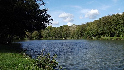 Etang de l'aire de loisirs des Coudreaux