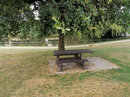 L'étang de la Bourroche