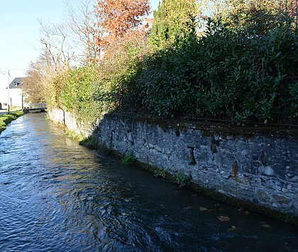 DES ORIGINES TOUJOURS INCERTAINES