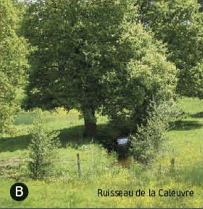 Betton - Circuit de la Caleuvre avec raccourci N°3