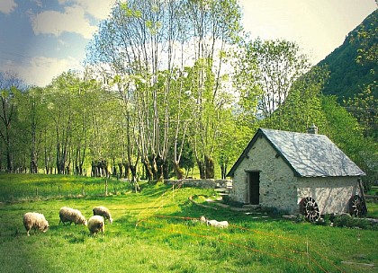 L'EAU, UNE FORCE MOTRICE...  ANCESTRALE