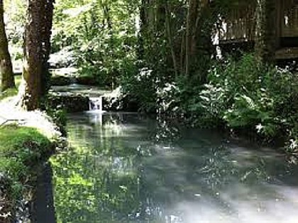 L'ART DE LA PISCICULTURE