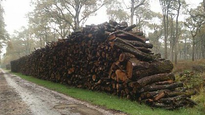 Ancienne maison forestière
