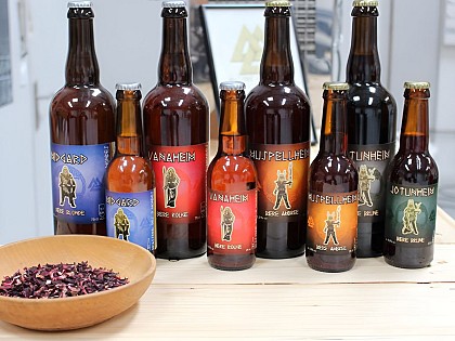 Micro aventure La Vélomaritime Jour 2 -Ouistreham Deauville