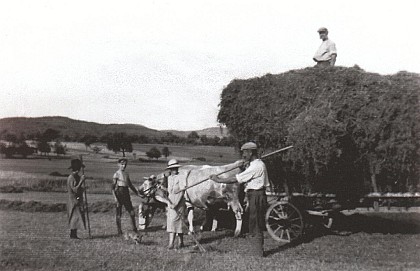 L'agriculture à Weinbourg