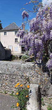 Visite du village de Suèvres