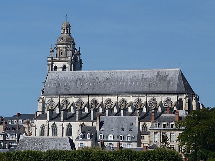 Cathédrale Saint-Louis