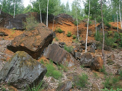 La Mutte - Au Pays du Roussard