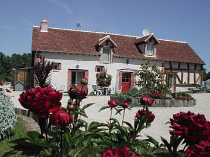 Les Bruyères | Gîtes 1, 2, 3 Sologne