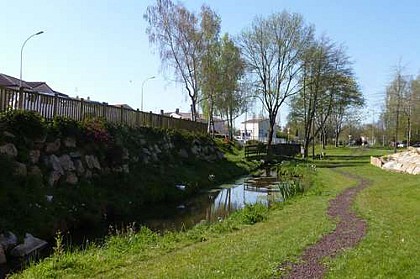 MOUILLERON-LE-CAPTIF / Les Marguerites