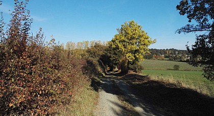 descente vers le Moncelay