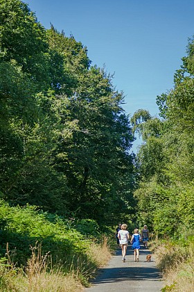 La forêt domaniale de Cerisy-la-Forêt