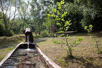Public park