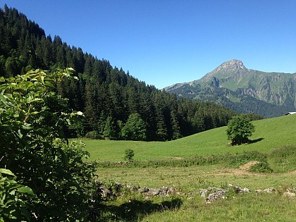 Alpage de Barbossine