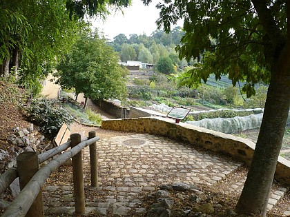 Le Canal de l’Argance, l’étang devenu jardin