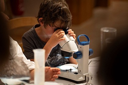 Le refuge des animaux