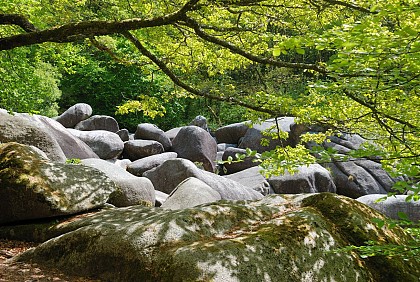 Les gorges du Corong