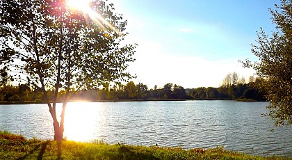 Aire de services pour camping-car