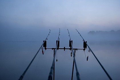 PECHE À LA CARPE DE NUIT EN HAUTE MAYENNE