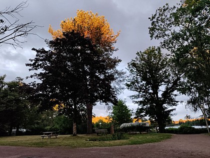 Camping de Lormes - l'Etang du Goulot