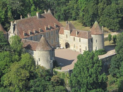 Château de Chitry-les-Mines