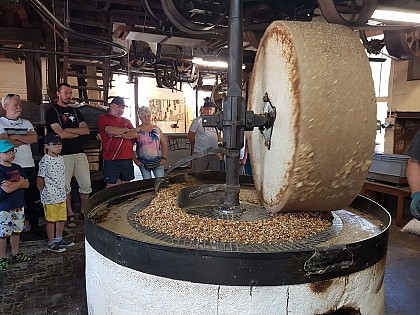 Visite de l'Huilerie du Moulin de l'île