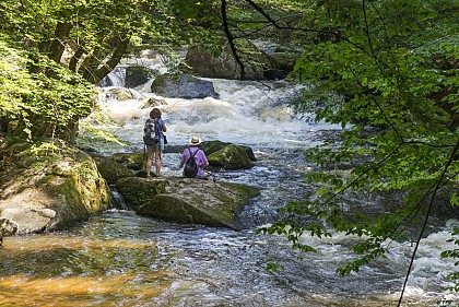 La vallée du Chalaux
