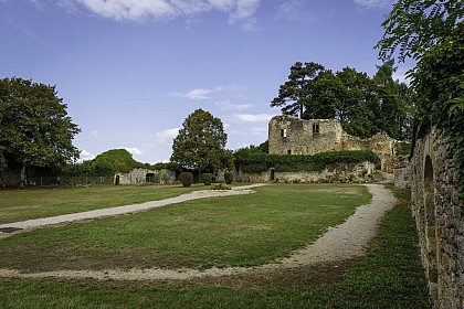Vieux Château de Moulins-Engilbert