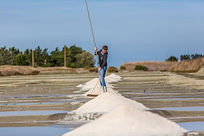 MARAIS SALANT LES VALENCIÈRES