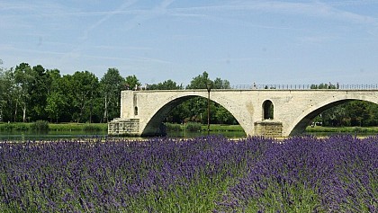 Avignon Bridge - Pont Saint Benezet