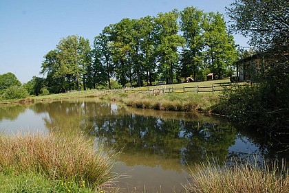 Aire communale de La Coquille