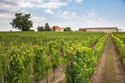 Château Siffle Merle