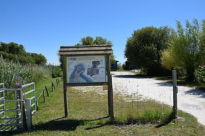 Marais du Conseiller