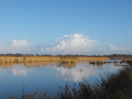 Marais du Logit