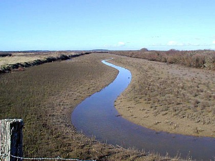 Marais de Neyran