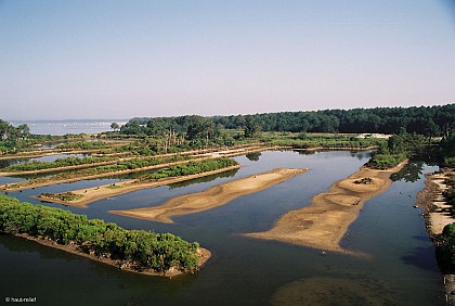 Site naturel des Quinconces