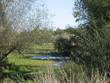 Le Domaine du Petit Bois