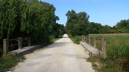 Marais de la Perge