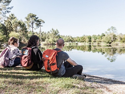 Forêt de Pins au Pian-Médoc