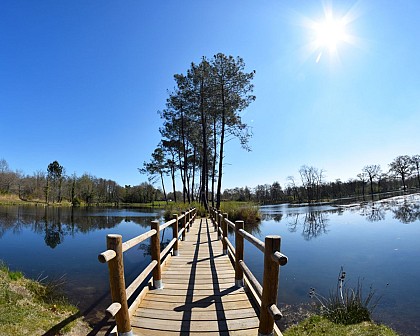 Etang de la Glacière