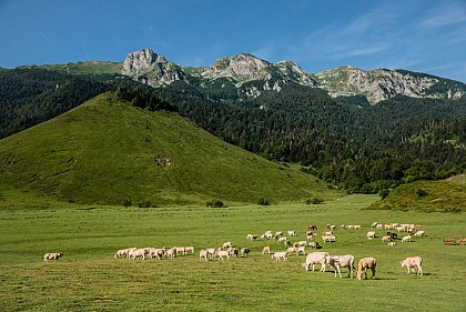 Plateau du Bénou