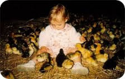 La Ferme de La Peyrasse