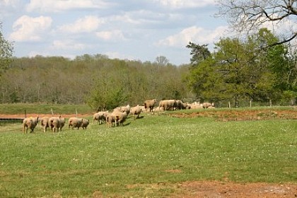 Ferme les Jaubertins