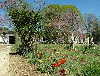 Château Brethous