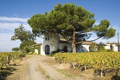 Château Lamothe Despujols